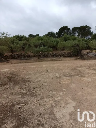 Terreno en El Perelló
