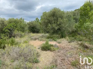 Terreny a Castellvell del Camp