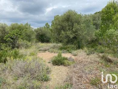 Terreny a Castellvell del Camp