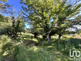 Land in Fuenteheridos