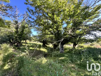 Land in Fuenteheridos