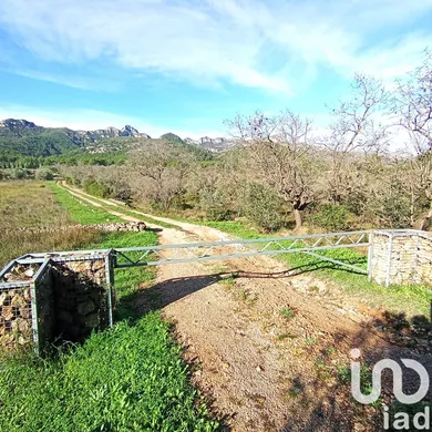 Terreny a Coll de l'Alba
