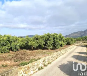 Terrain à Benidoleig